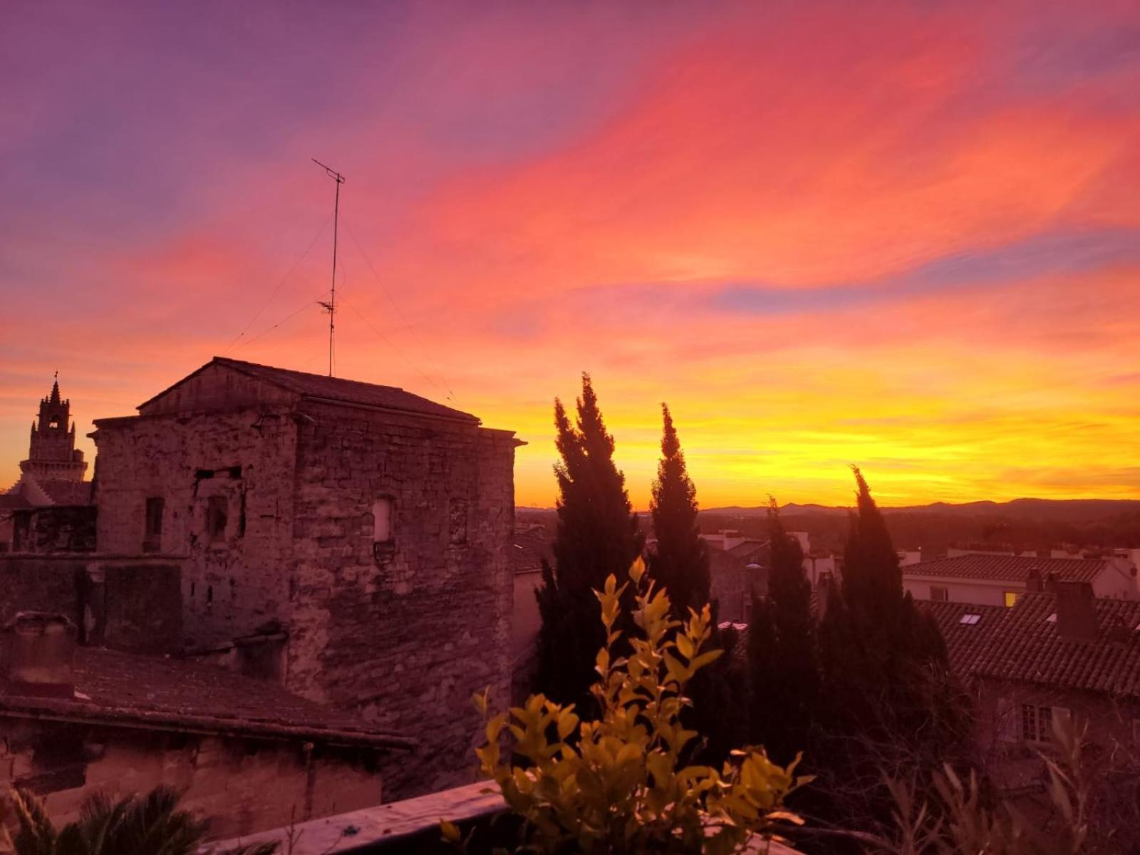 Appartement Un nid sur les toits à Avignon Extérieur photo
