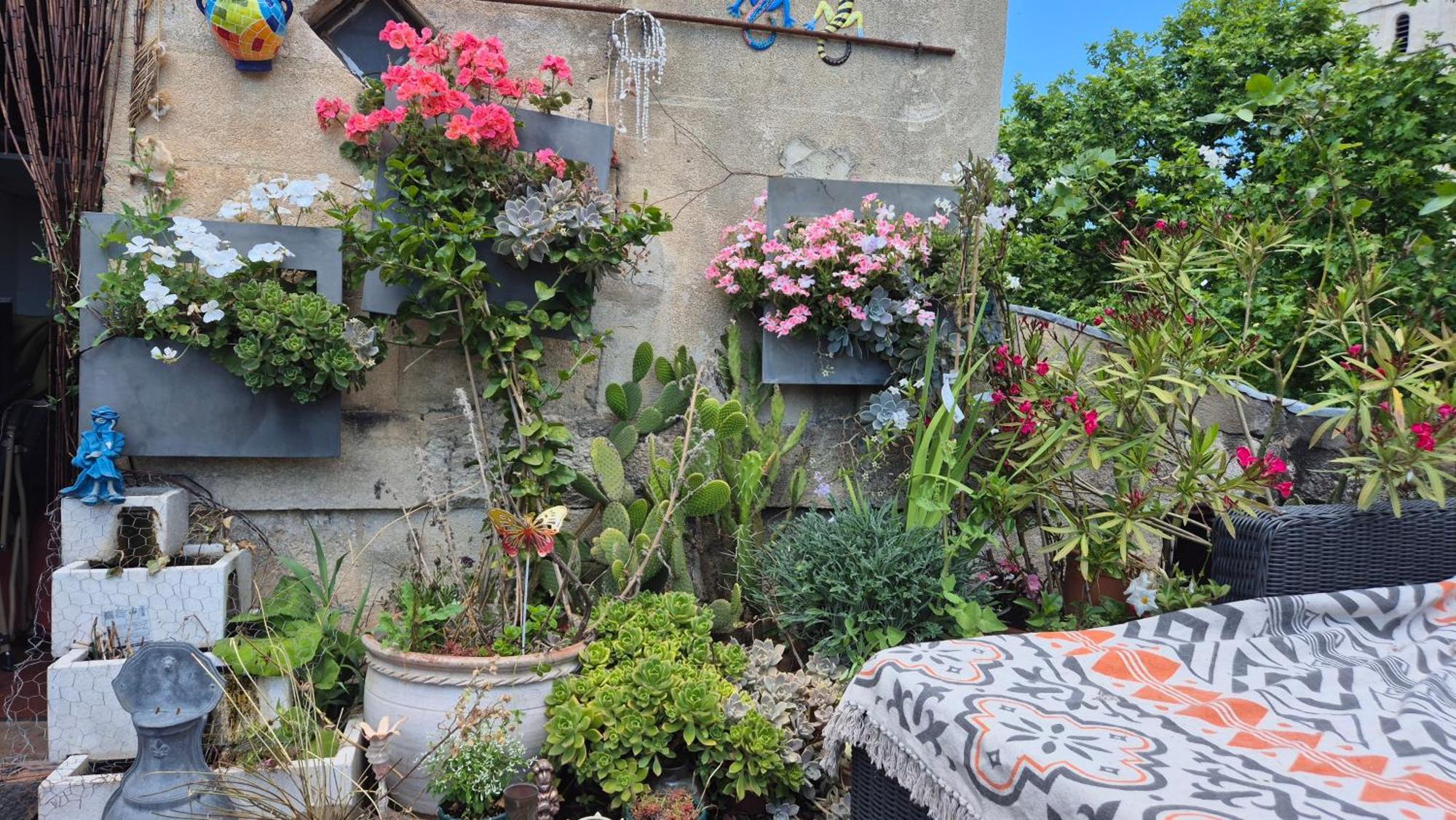 Appartement Un nid sur les toits à Avignon Extérieur photo